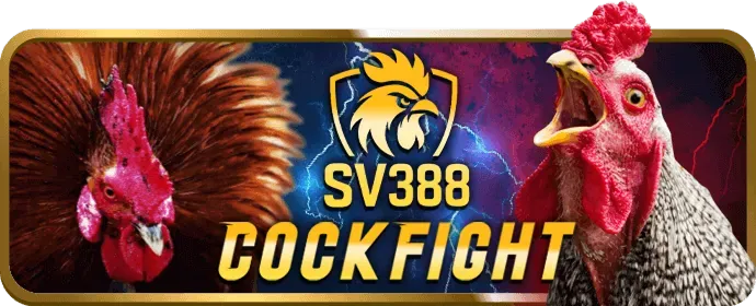 Giấy phép và quy định pháp lý của vin7771 casino